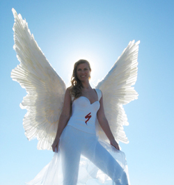 Specialized Angel