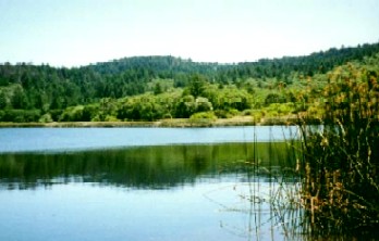 [A picture of Annadel State Park]